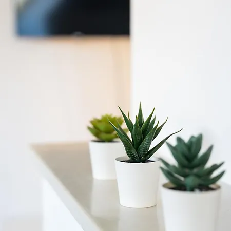 Luxury Penthouse - Augarten Vienna Esterno foto